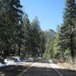 View album