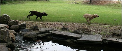 runrun