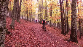 Ruta MTB por el Castañar de El Tiemblo, sábado 8 de noviembre 2014 ¿Nos acompañas?