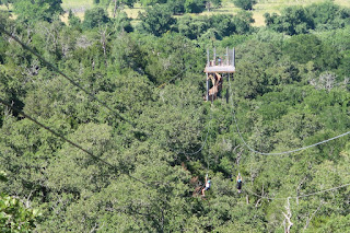 Looking out and over the final and longest zip