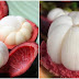 45 สรรพคุณและประโยชน์ของมังคุด ราชินีแห่งผลไม้ไทย บำรุงผิวพรรณ ป้องกันโรคสมองเสื่อม