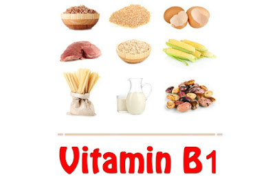 Sumber/Fungsi Vitamin B1 (Tiamin)