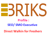 Ebriks-Infotech-walkin-seo-executive-noida