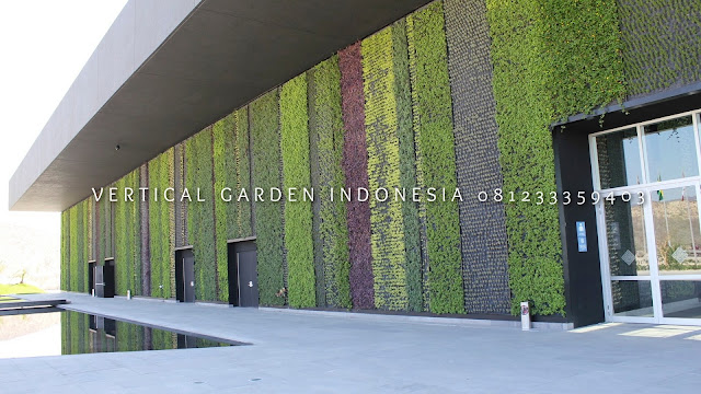 VERTICAL GARDEN INDONESIA SPESIALIS JASA PEMBUATAN VERTICAL GARDEN DI TEGAL JAWA TENGAH DAN DI SELURUH WILAYAH JAWA TENGAH DENGAN TENAGA YANG PROFESIONAL DAN DAPAT DI PERCAYA YANG SELALU MENGUTAMAKAN SEBUAH MUTU DAN KUALITAS PEMASANGAN VERTICAL GARDEN/TAMAN DINDING, JASA TUKANG TAMAN VERTICAL TEGAL JAWA TENGAH, JASA VERTICAL GARDEN TEGAL JAWA TENGAH