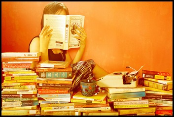 baca novel