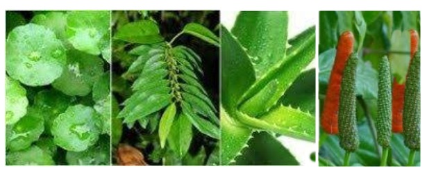 How to remove Panu quickly and naturally