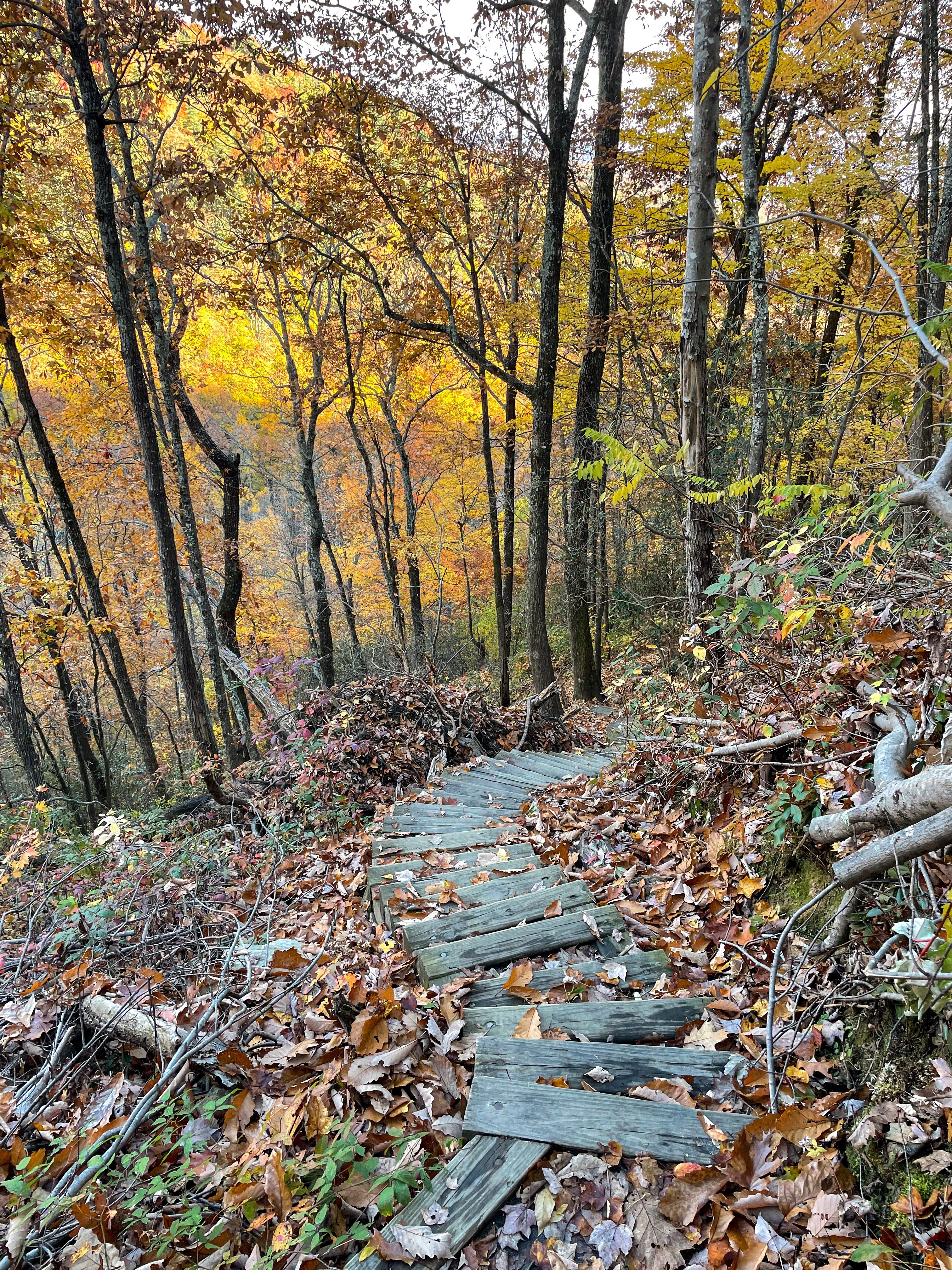 Whitewater Falls, NC