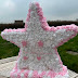 Etoile en rose et blanche 