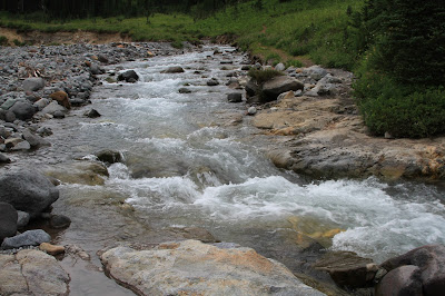 Ohanapecosh River at Indian Bar