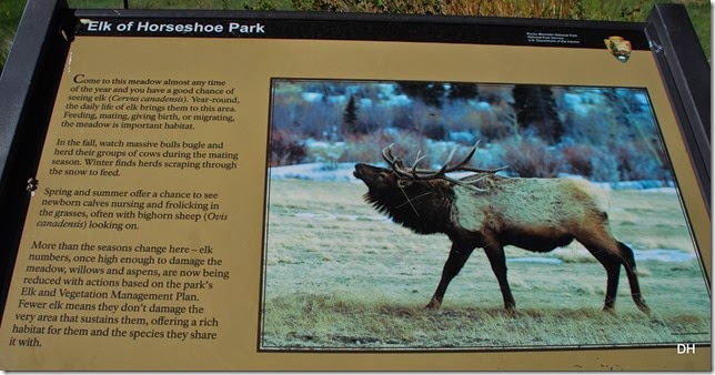 06-20-14 A Rocky Mountain NP (20)a