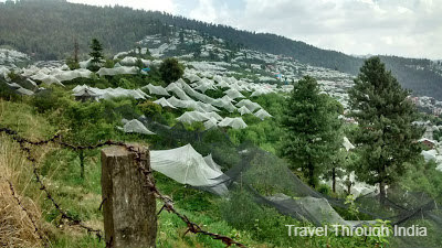 Narkanda inwards Shimla district of Himachal Pradesh is a beautiful IndiaTravelDestinationsMap: MY TRAVEL DIARY TO BEAUTIFUL SUMMER DESTINATION IN INDIA - NARKANDA