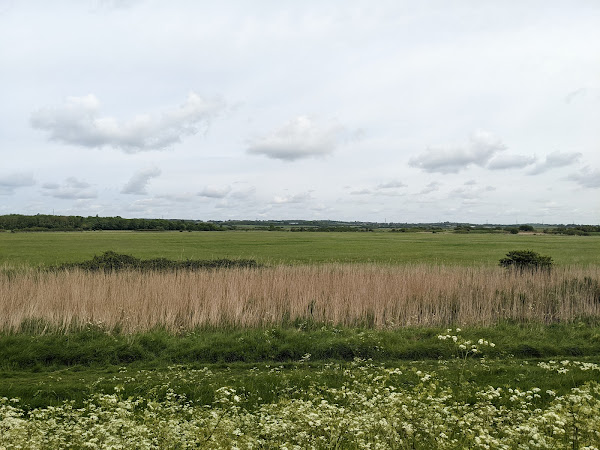 One of the grazing meadows