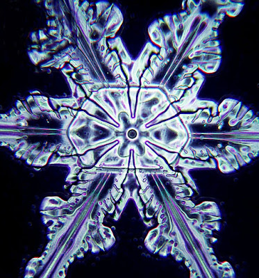 Microscopic photograph of snowflake