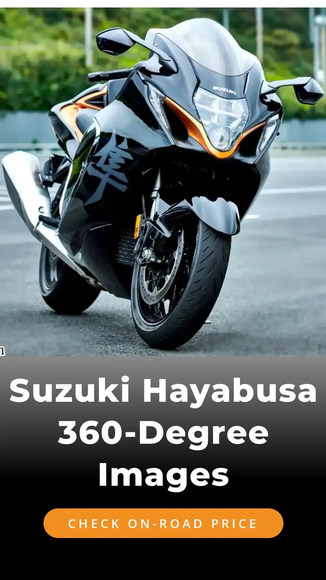 Suzuki Hayabusa