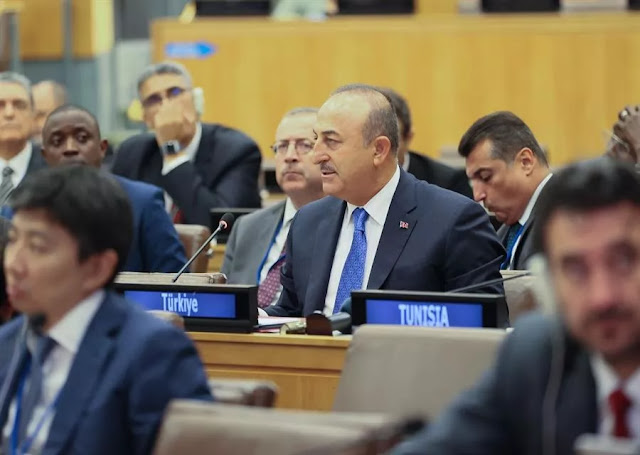 Turkish Foreign Minister calls on OIC members to support Turkish Cyprus against embargoes