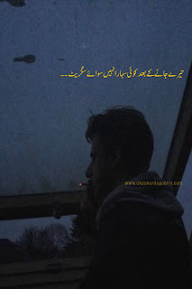 One line captions in urdu for Instagram one line poetry in urdu