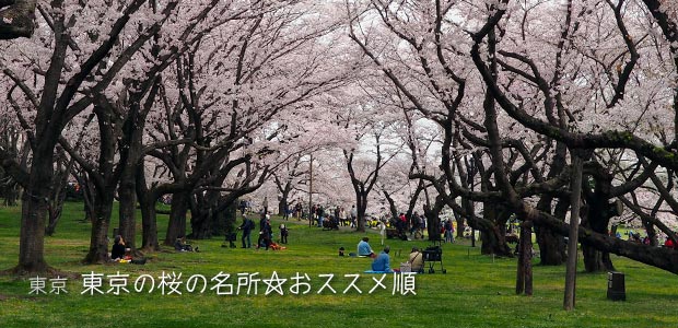 東京の桜の名所☆おススメBEST20