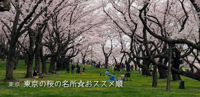 東京の桜の名所☆おススメ順に並べてみた♪