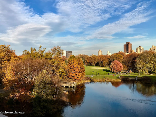 central park - turtle pond