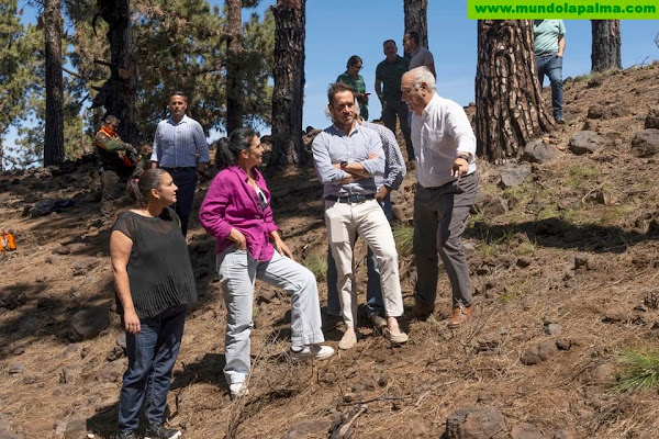 Zapata visita los trabajos de restauración en las zonas afectadas por el incendio de La Palma