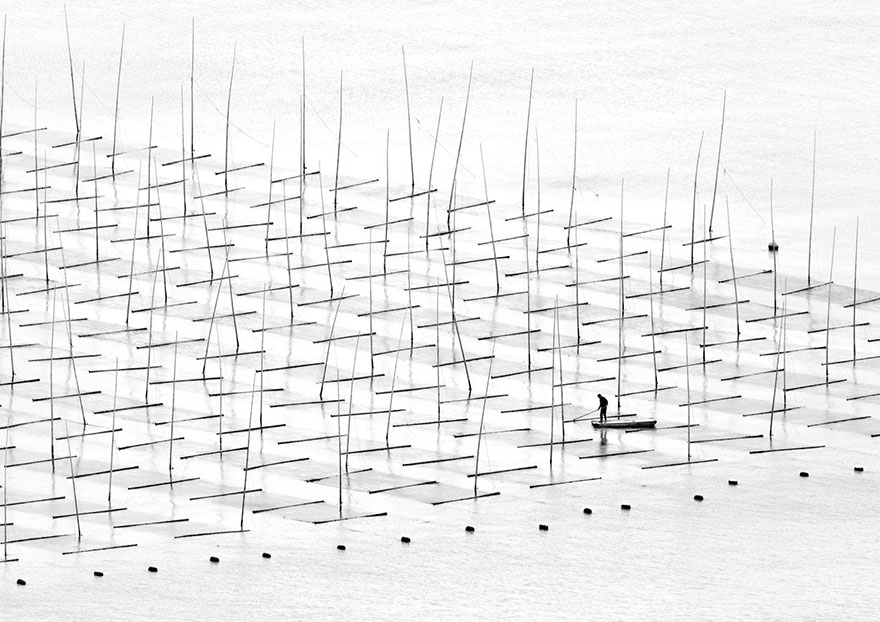 These Are The 35 Best Pictures Of 2016 National Geographic Traveler Photo Contest - Farming The Sea, China