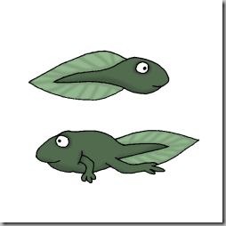 Tadpoles