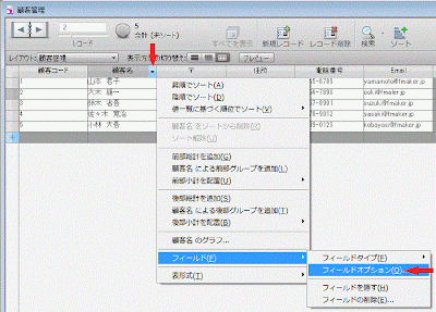 フィールドオプション　メニューをクリック