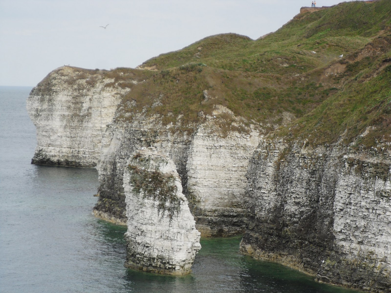 Flamborough Head Cliffs