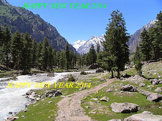 Happ  New Year 2014 Greetings Wishing Cards Wallpapers