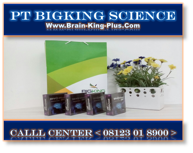 Brainking Plus 08123 01 8900