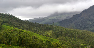 munnar