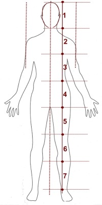 corpo-humano