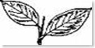 UGDP party symbol