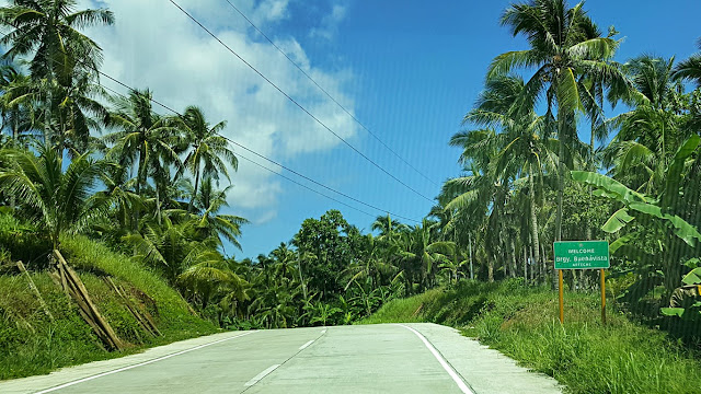 entrance to Brgy. Buenavista, Arteche Eastern Samar