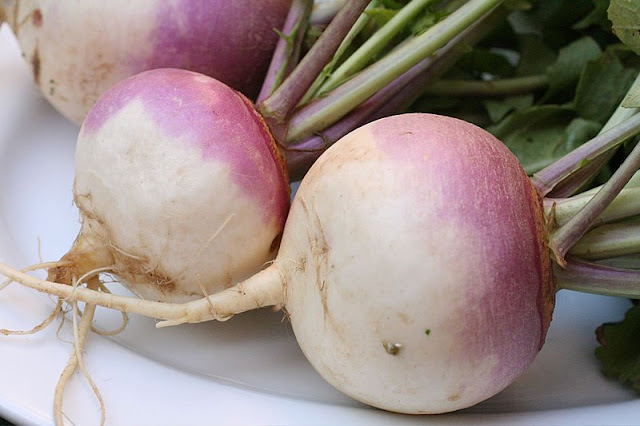 10 Benefits of Turnips to include in your Diet during the Cold Weather | healthy diet