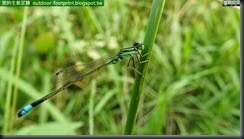 20140807_174804_016_No4park