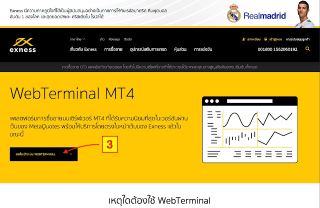 MetaTrader 4 Web