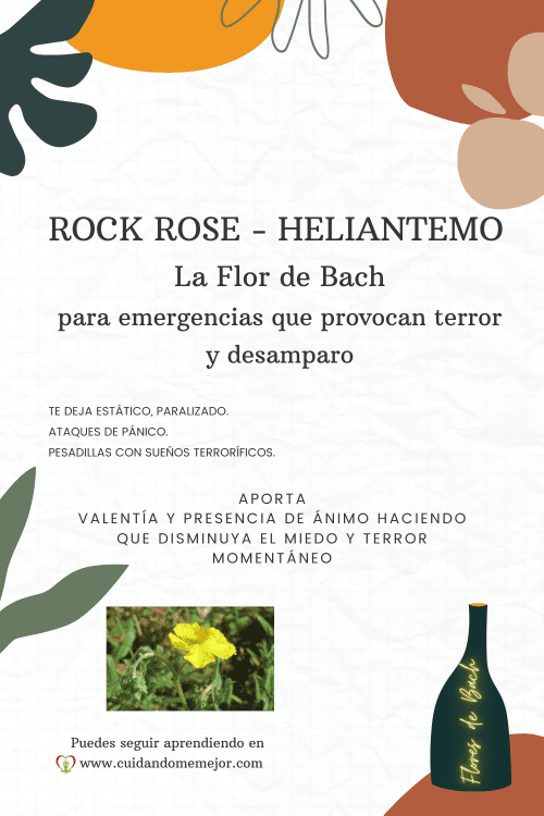 características de la Flor de Bach Rock Rose