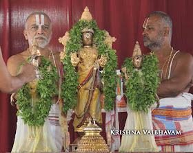 Sri Narasimha Swamy, Dhavana Utsavam, Theliya Singar, Azhaiya Singar,Thirumanjanam, Purappadu,  Triplicane,  Purappadu, Thiruvallikeni, Utsavam, 