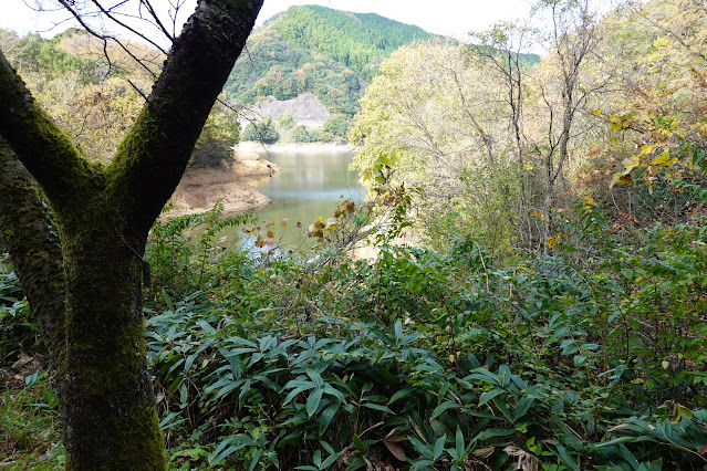 鳥取県西伯郡南部町下中谷 緑水湖 遊歩道からの眺望