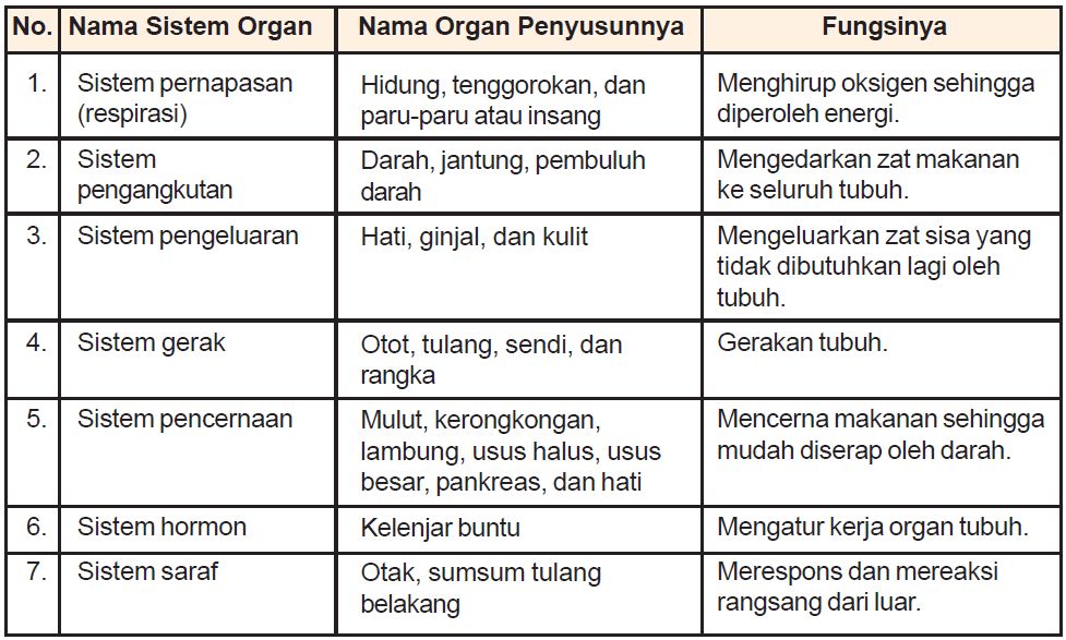 Pengertian Sistem Organ dan  Macam macam Sistem Organ pada 