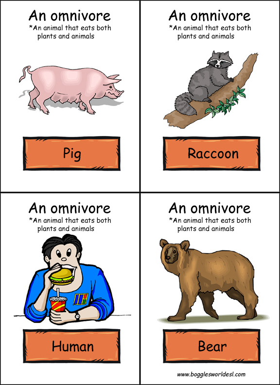OMNIVORES: They eat both meat and plants. Posted by María at 1:18 PM OMNIVORES: They eat both meat and plants. Posted by María at 1:18 PM