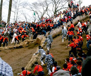FESTIVAL ONBASHIRA : Festival berbahaya dari Nagano