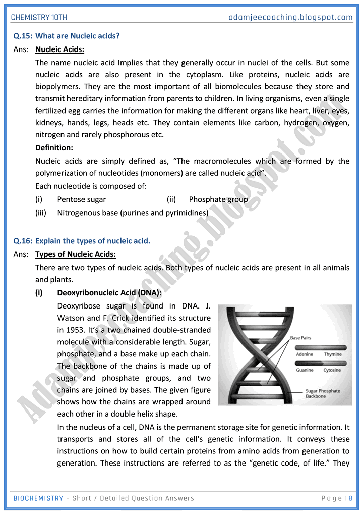 biochemistry-short-and-detailed-question-answers-chemistry-10th