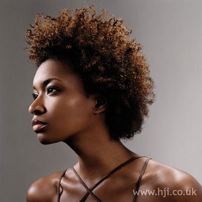 natural hairstyles black women. A Fresh Summer Hairstyle!