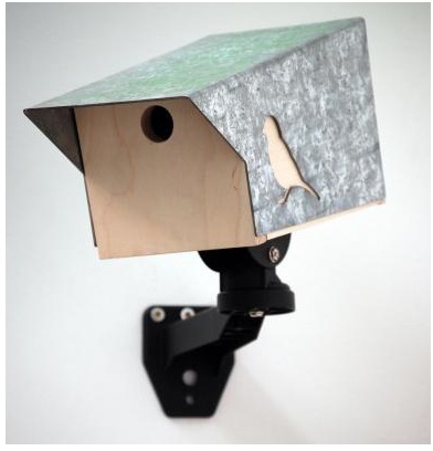 Bird Box Design