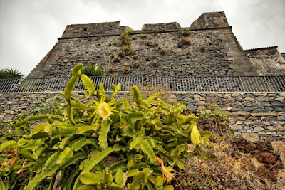 Fortaleza de São João Baptista do Pico