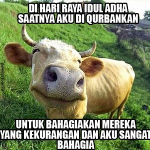 20 Meme 'Pesan Terakhir Kambing & Sapi' Ini Ceriakan Idul Adhamu