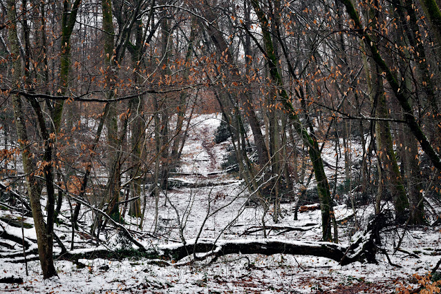 La Gorge aux Loups, forêt de Fontainebleau.