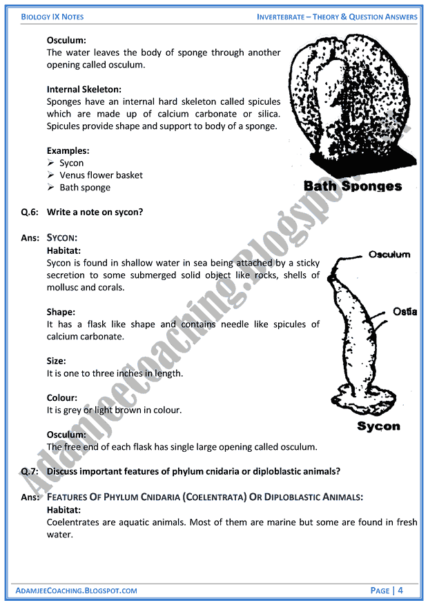 invertebrata-theory-notes-and-question-answers-biology-notes-for-class-9th